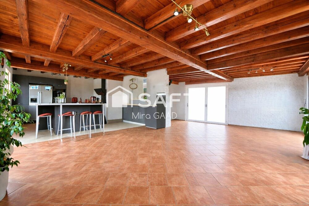Vente Maison Maison rénovée avec hangar sur 2900m2 de terrain NÉGOCIABLE Lisle-sur-tarn