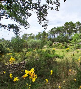  Terrain à vendre 61137 m²
