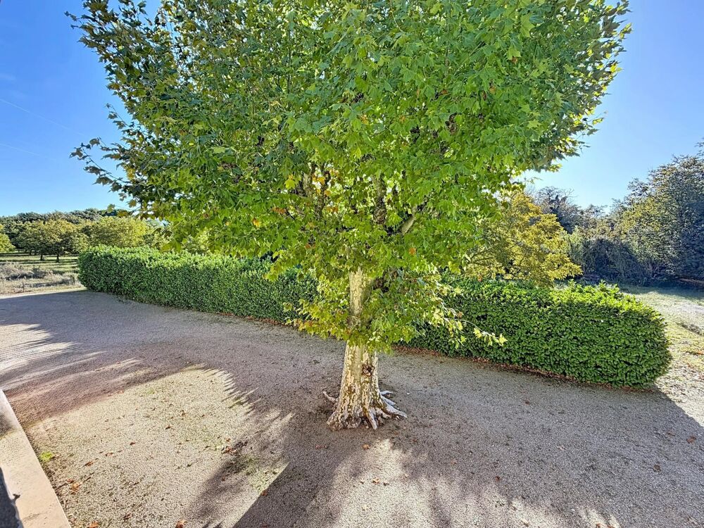 Vente Maison Alleins, maison de campagne 130m² sur 1,7hectares Alleins