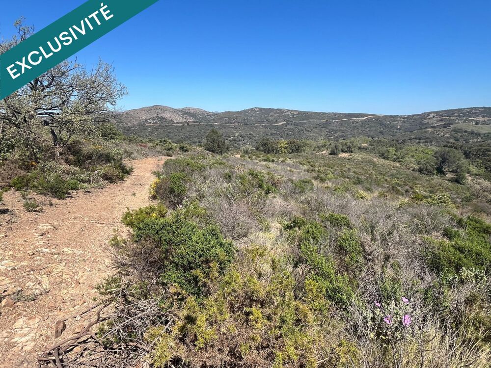 Vente Terrain Terrain agricole avec divers projets possible . Estagel