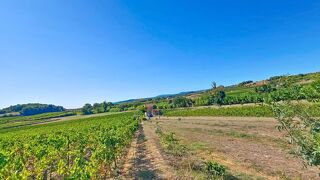  Terrain � vendre 100000 m�