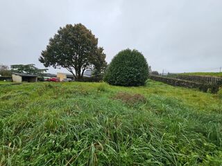  Terrain  vendre 446 m
