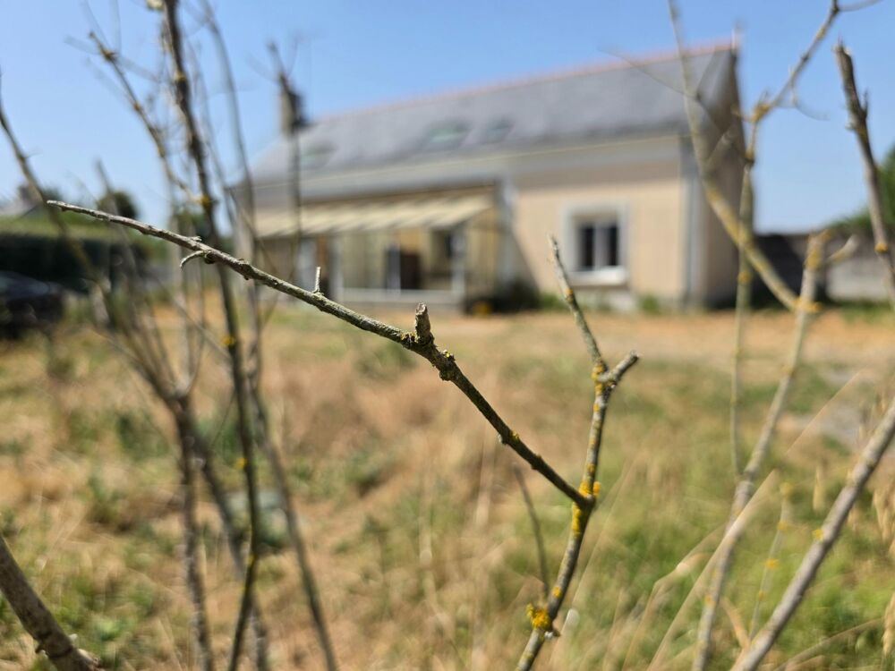 Maison de campagne, 4 chambres, terrain et grand hangar