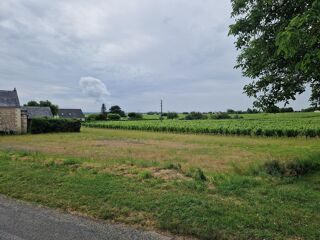  Terrain  vendre 1215 m Coteaux-sur-loire