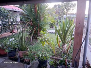  Maison � vendre 5 pi�ces 91 m�