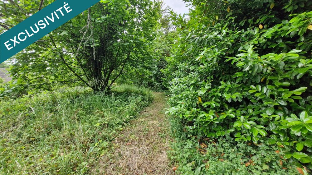 TERRAIN 3700 m² dont 3000 m² constructibles