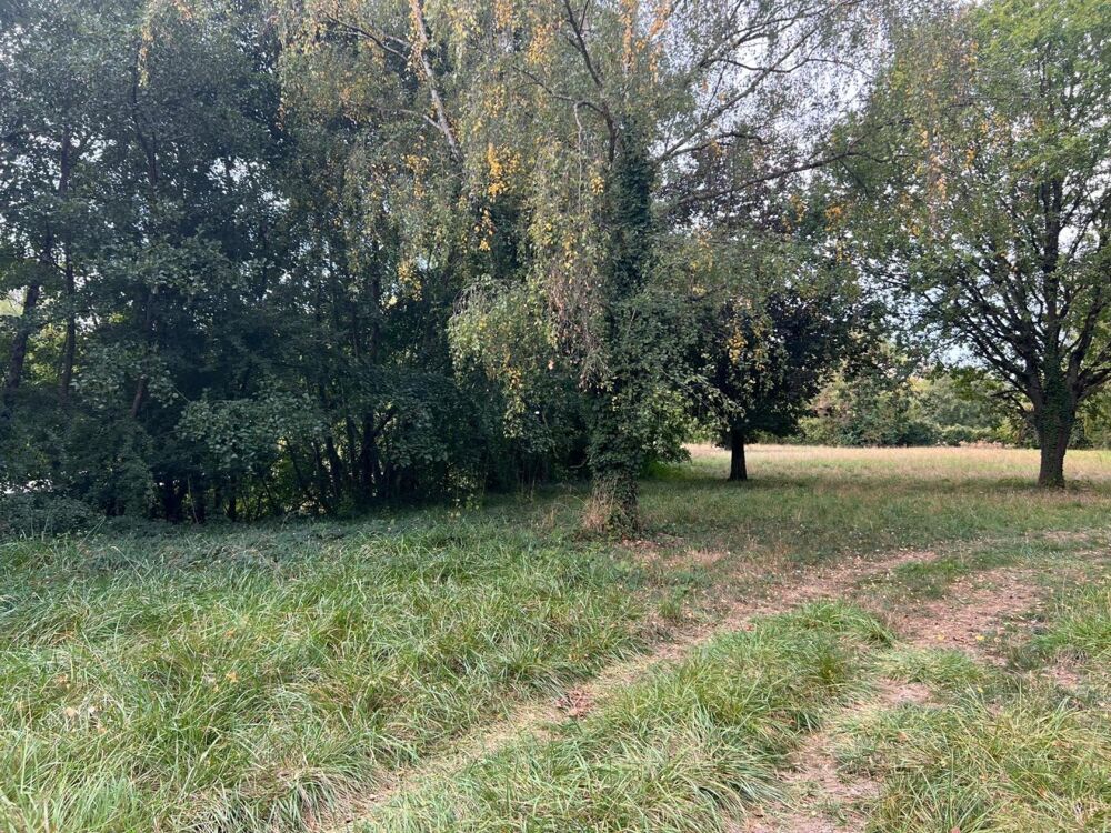 Vente Terrain Magnifique plan d'eau à côté de l'Yonne! Saint-denis-les-sens