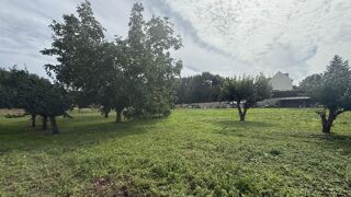  Terrain  vendre 6533 m