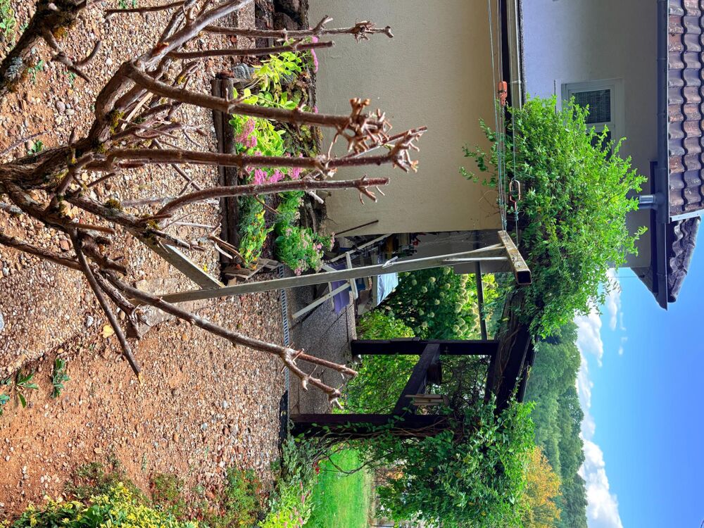 Vente Maison Calme, paysage, verdure, commodités, évolutive Nehwiller-pres-woerth