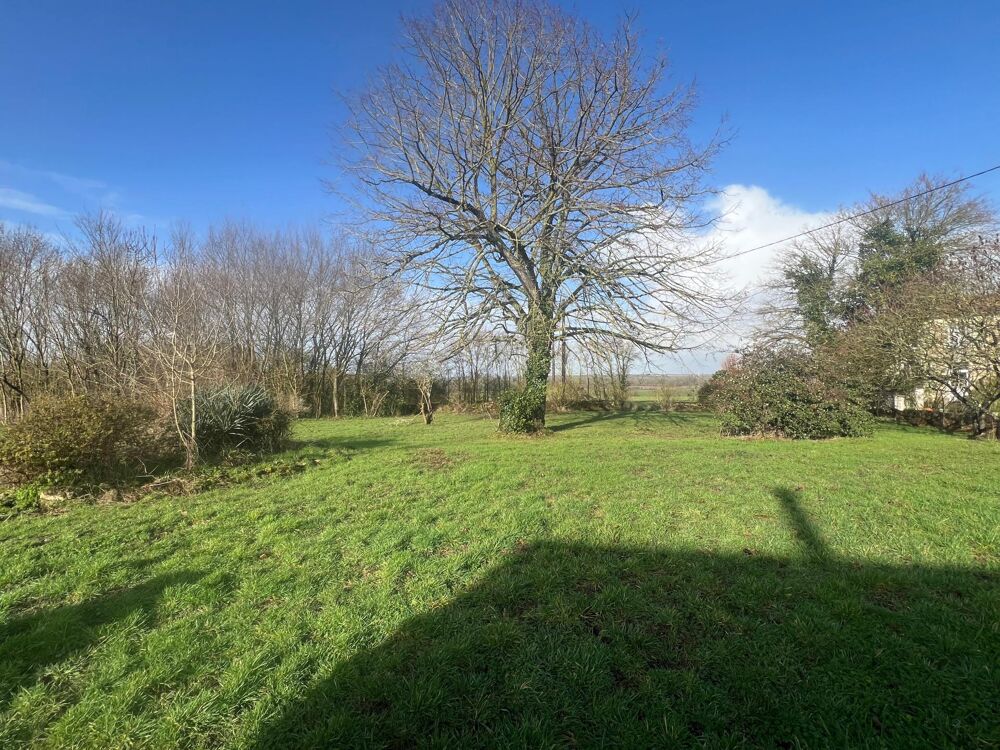 Vente Terrain Terrain constructible de 3741 m2 Nachamps