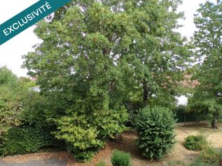  Appartement à vendre 4 pièces 85 m²