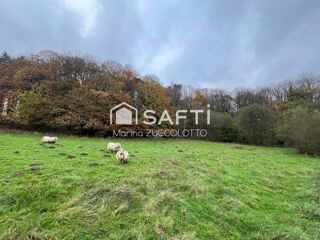  Terrain � vendre 12583 m� Meneac