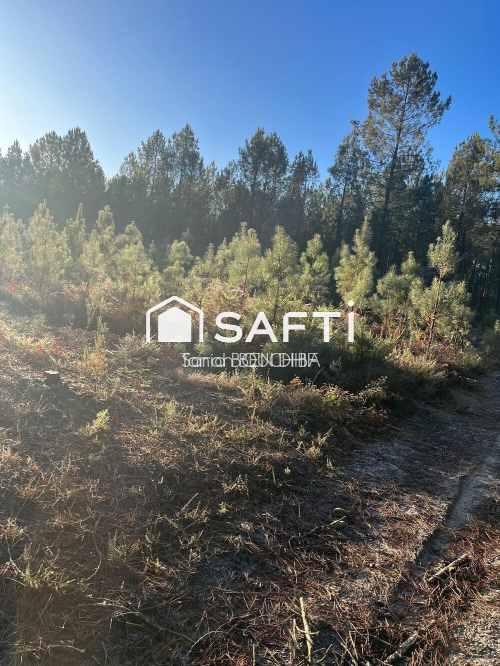 Vente Terrain Terrain forestier Saint-leger-de-balson