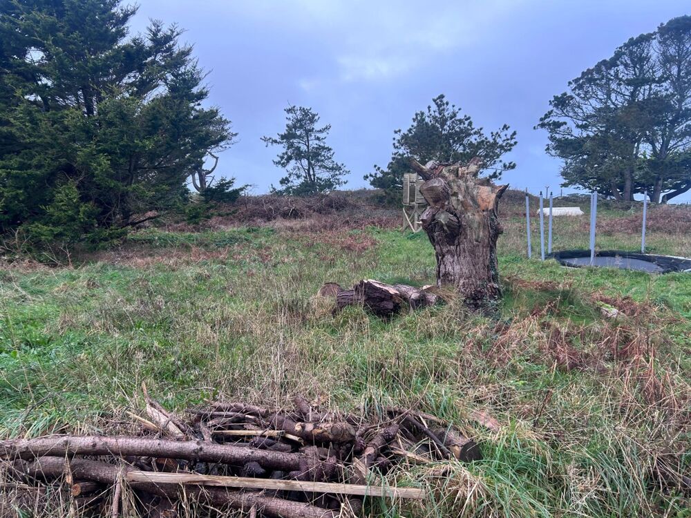 Vente Terrain Terrain constructible à viabiliser sur Ile de Batz Ile-de-batz