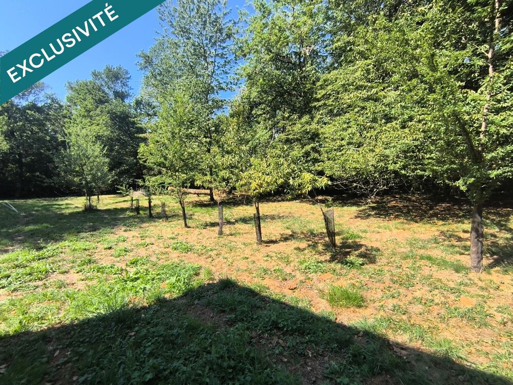 Au calme sur 4052 m2 arboré