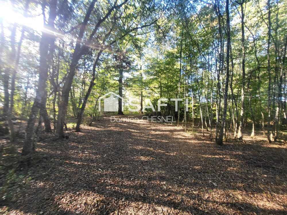 Vente Maison Lot de deux maisons sur terrain de 4 hectares avec grange Saint-christophe-en-boucherie