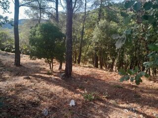  Terrain � vendre 792 m�