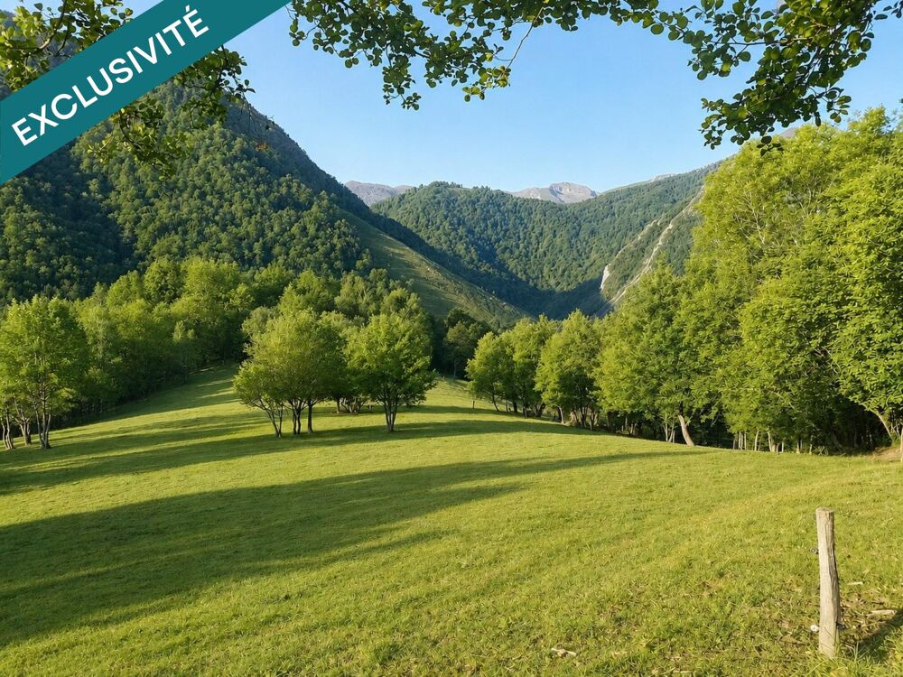 Vaste domaine de montagne, maison, gîte et granges