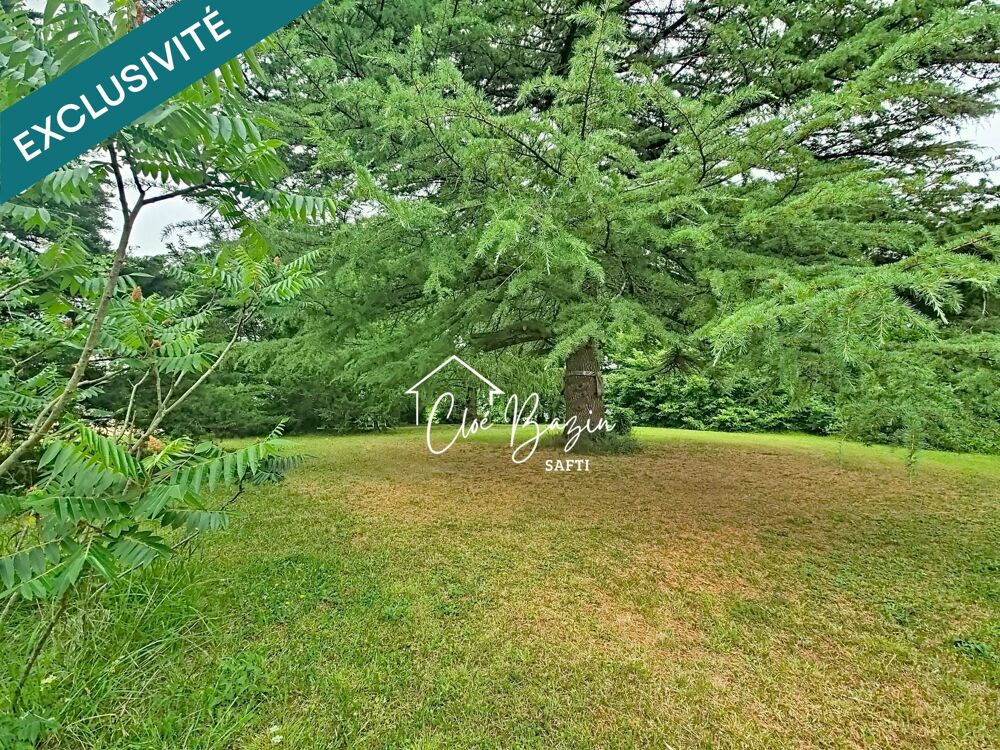 Vente Terrain COUP DE COEUR : Ancien Chai du XIX? siècle à transformer en habitation d'exception – Zone UB constructible Montussan