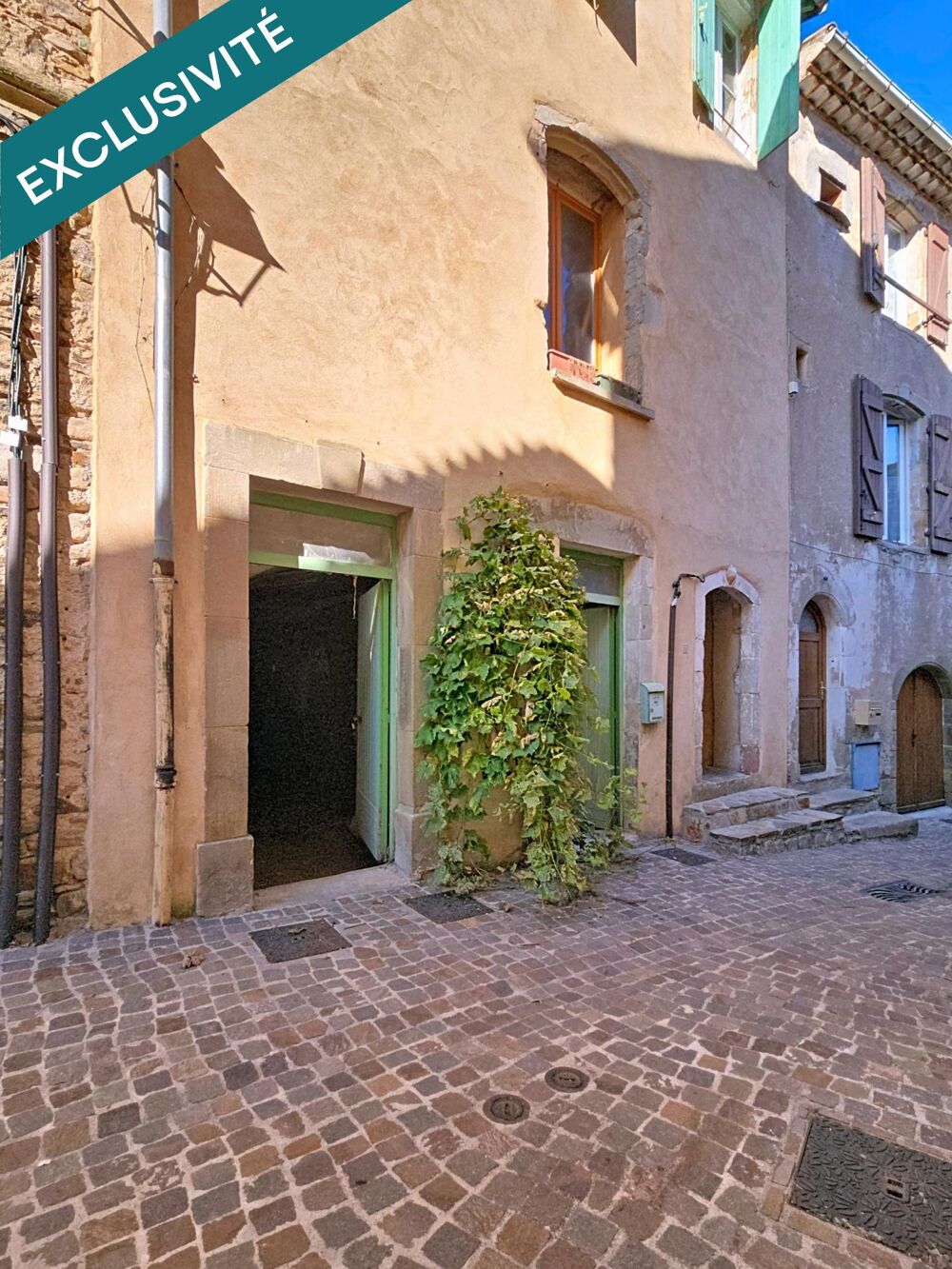 Grande maison de village avec caves, 6 chambres et grenier  Saint-Gervais-sur-Mare (34610)