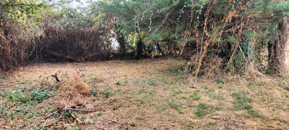 Vente Terrain 700 m2 de terrain pour un nouveau départ Port-de-piles
