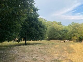  Terrain à vendre 8610 m²
