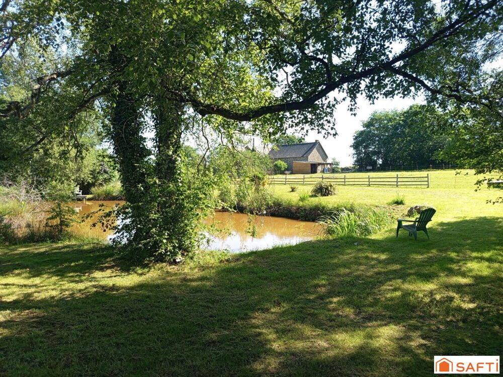 Maison pierre rénovée idéale amoureux de la nature