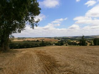  Terrain à vendre 3765 m²