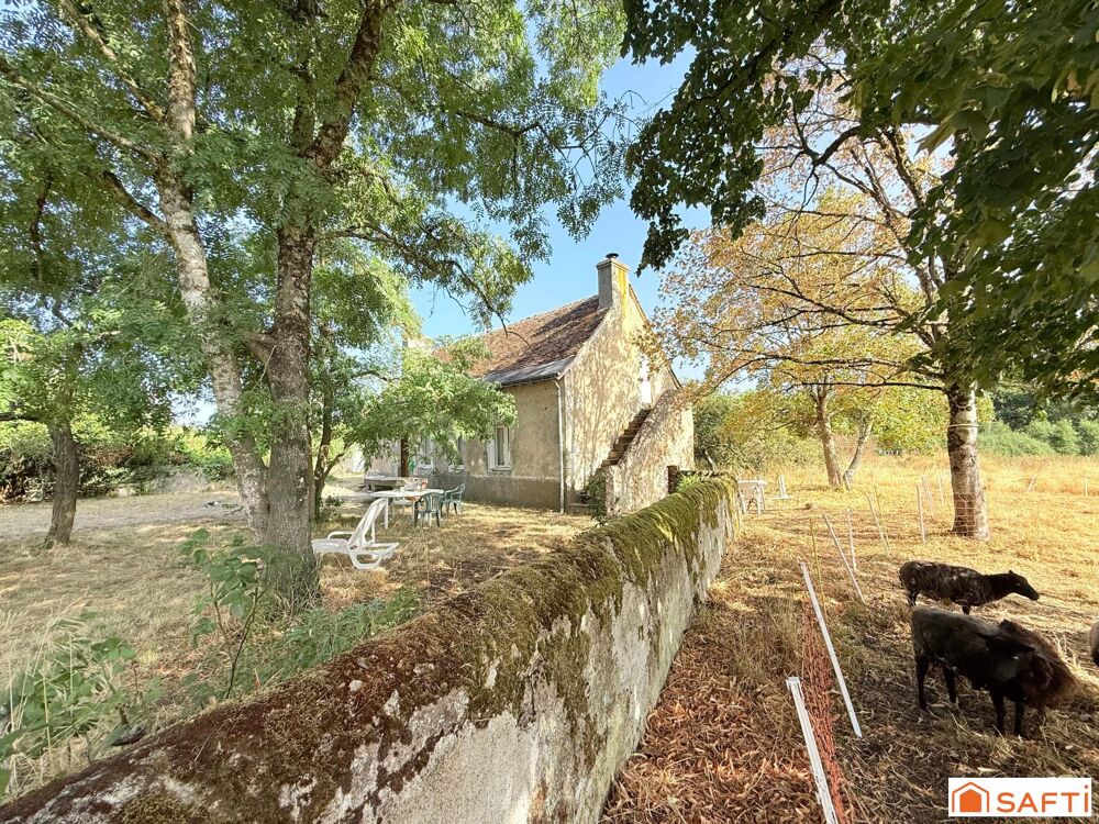 Vente Maison Ancien corps de ferme à restaurer sur prés de 3 hectares - Un havre de paix à 25 minutes de Tours Souvigne