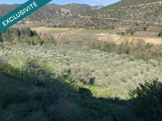  Terrain � vendre 13490 m� Ansignan