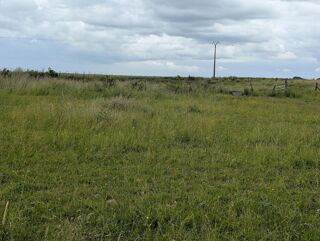  Terrain � vendre 962 m�