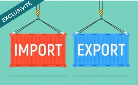 Très belle affaire d'Import-Export d'articles de décoration 162000 37000 Tours