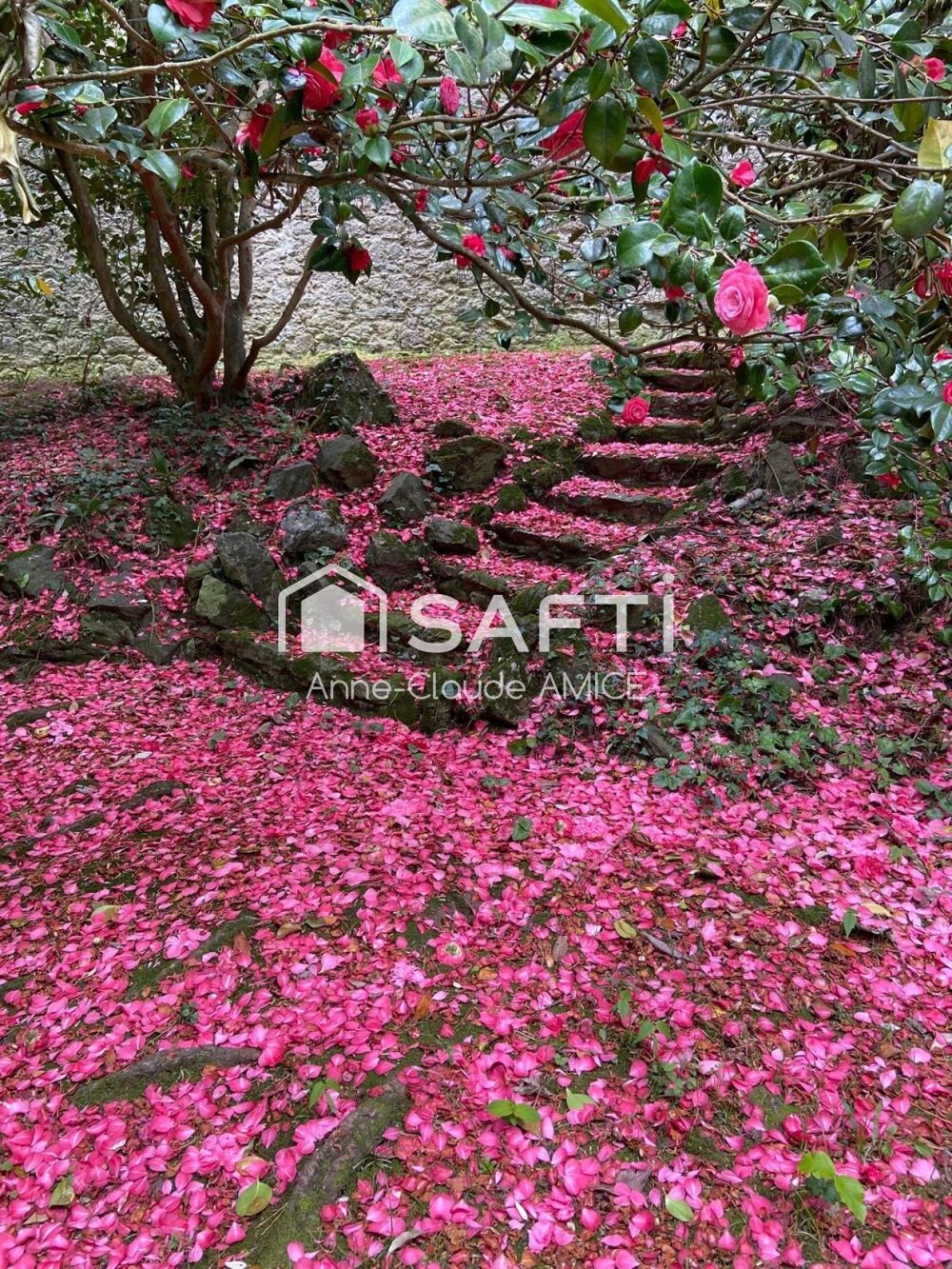 � vendre  Maison Saint-Malo (35400)