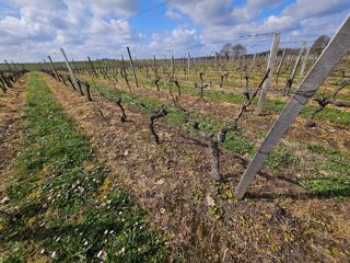  Terrain  vendre 58343 m