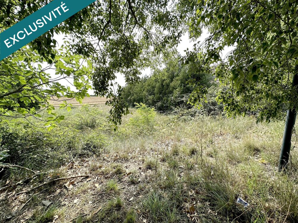 Vente Terrain A saisir Magnifique terrain Laudun-l'ardoise
