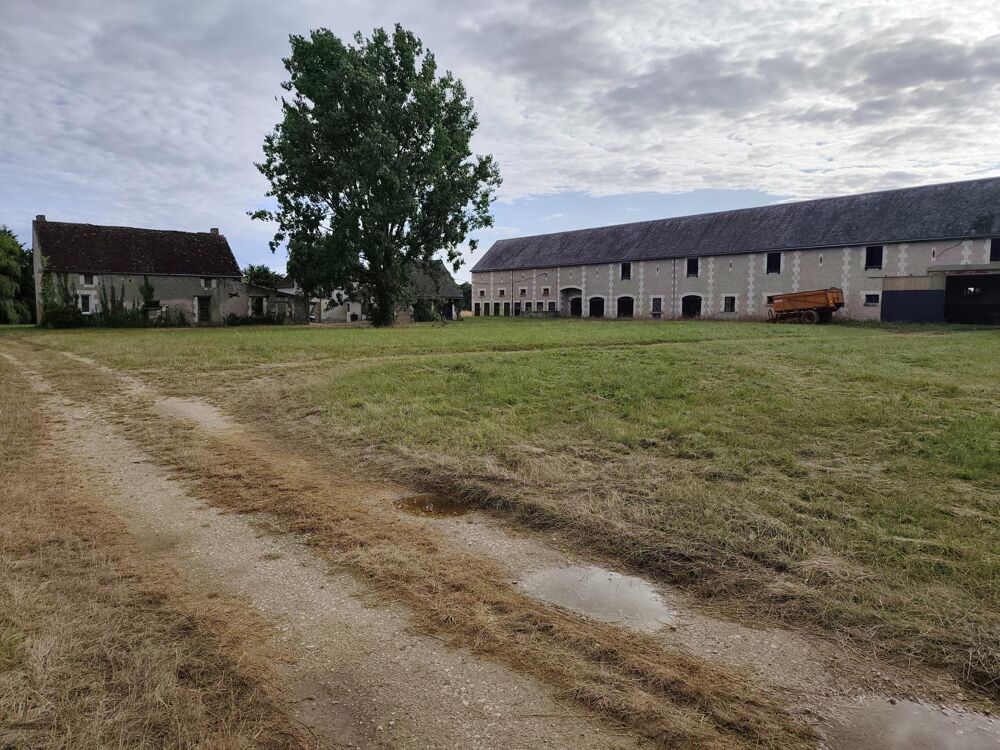 Vente Maison À vendre – Ensemble immobilier avec dépendances sur environ 1,5 hectare – Le Liège (37460) Le liege