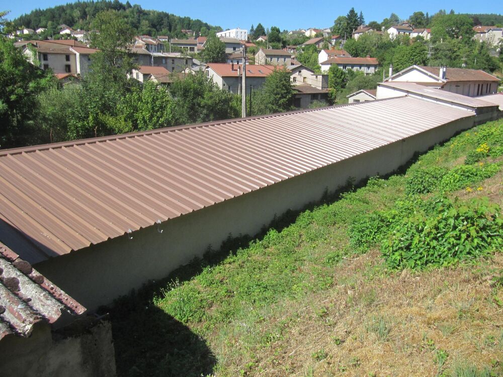 Vente Immeuble Une affaire à ne pas manquer : deux grands batiments de stockage, deux appartements plus un troisième en cours de finition sur u La monnerie-le-montel
