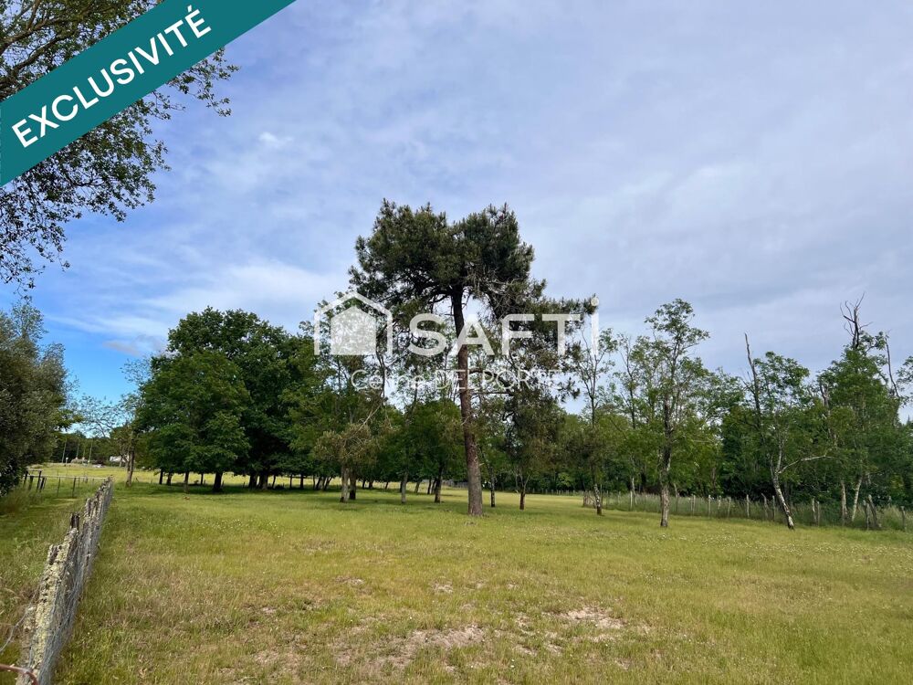 Vente Terrain Foncier aux portes de Bordeaux – 4 404 m² – Environnement préservé Saint-medard-en-jalles