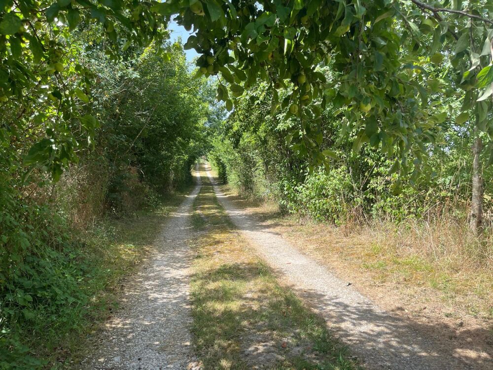 Vente Maison Maison à la campagne. Beaumontois en perigord