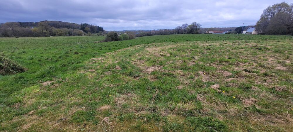 Vente Terrain Rare sur le secteur, 6 hectares, 2 bâtiments ( ancien poulailler et Hangar en briques et couverture en tôles ) Bignan