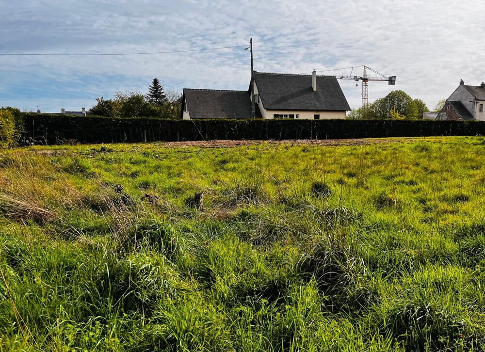 Vente Terrain Terrain viabilisé Mouen
