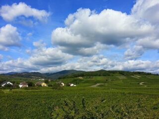  Appartement � vendre 3 pi�ces 79 m�