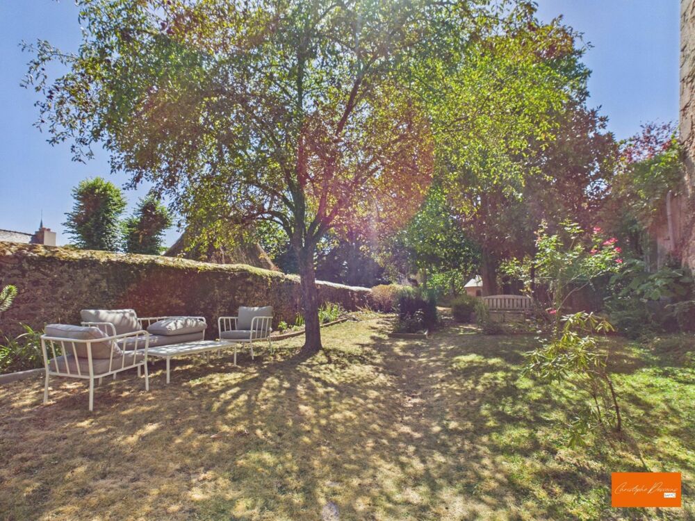 Vente Immeuble Magnifique demeure de prestige avec jardin a Mayenne Mayenne