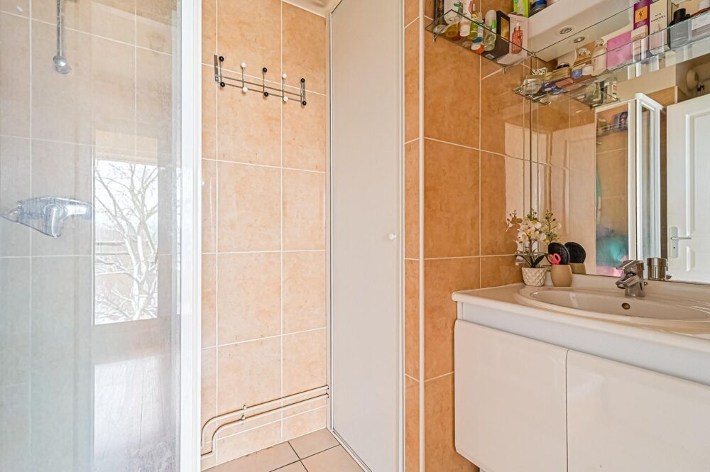 Vente Appartement A  10 minutes de la Gare RER D Maisons Alfort / Alfortville Alfortville