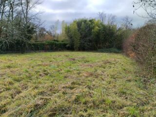  Terrain à vendre 2784 m²