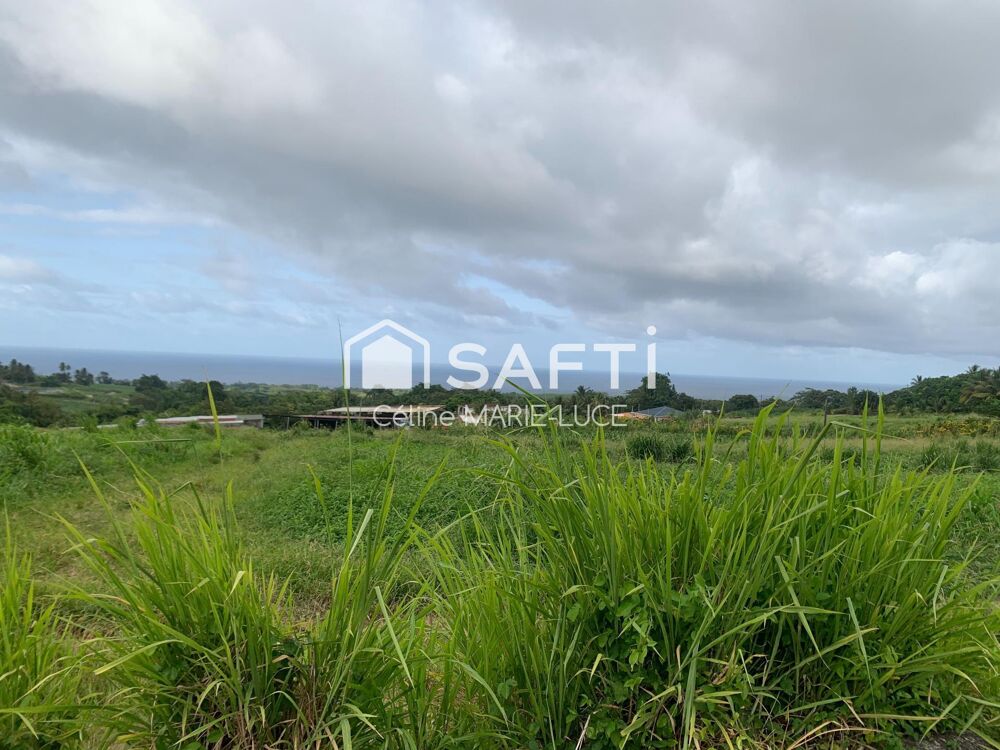 Vente Terrain Parcelle vue mer Basse-pointe