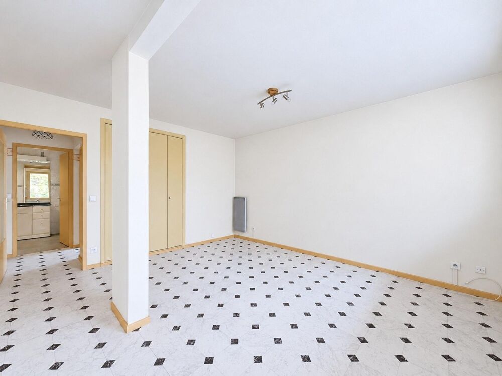 Vente Appartement Villeurbanne Gratte-Ciel : T2 traversant avec cave Villeurbanne