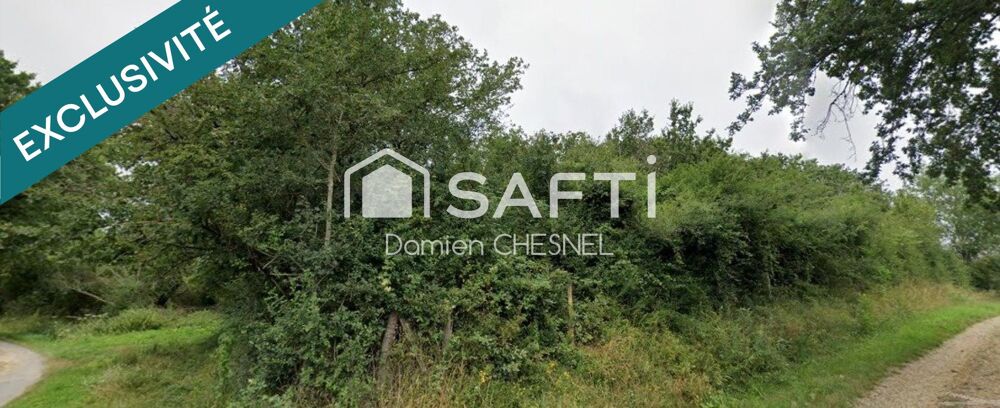 Vente Terrain Terrain boisé de 6 585 m² à Lignières – idéal pour le bois de chauffage Lignieres