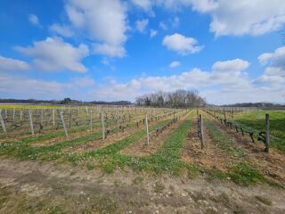  Terrain  vendre 58343 m