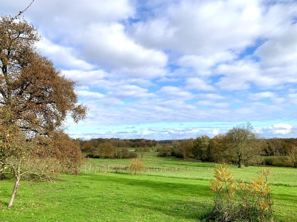 Vente Maison Jolie ferme Bressane rénovée avec très belle vue dégagée Louhans
